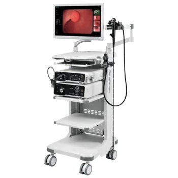 plataforma videoendoscópica terapéutica